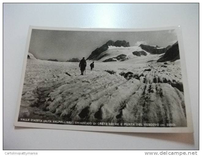 Valle D´aosta Panorama Fotografico  Ghiacciaio Di Crete Seche E Punta Del Vescovo  Alpinisti - Autres & Non Classés