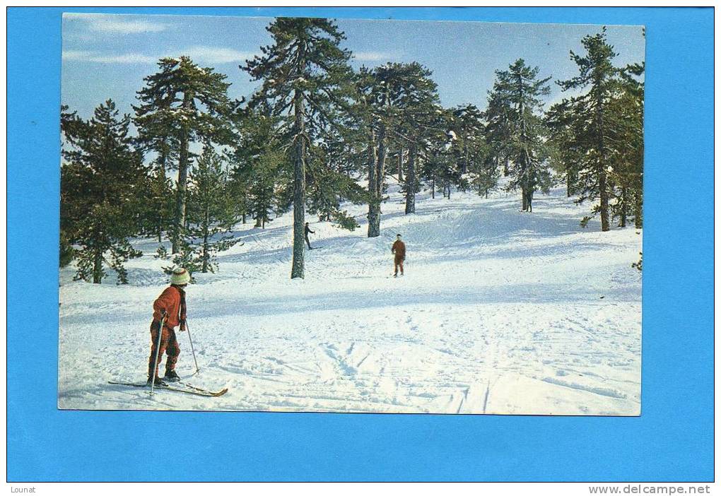 Ski-ing On Mt Troodos - The Snow-clad Mountain Troodos Offers Excellent Opportnities For Winter Sports  Cyprus - - Cipro