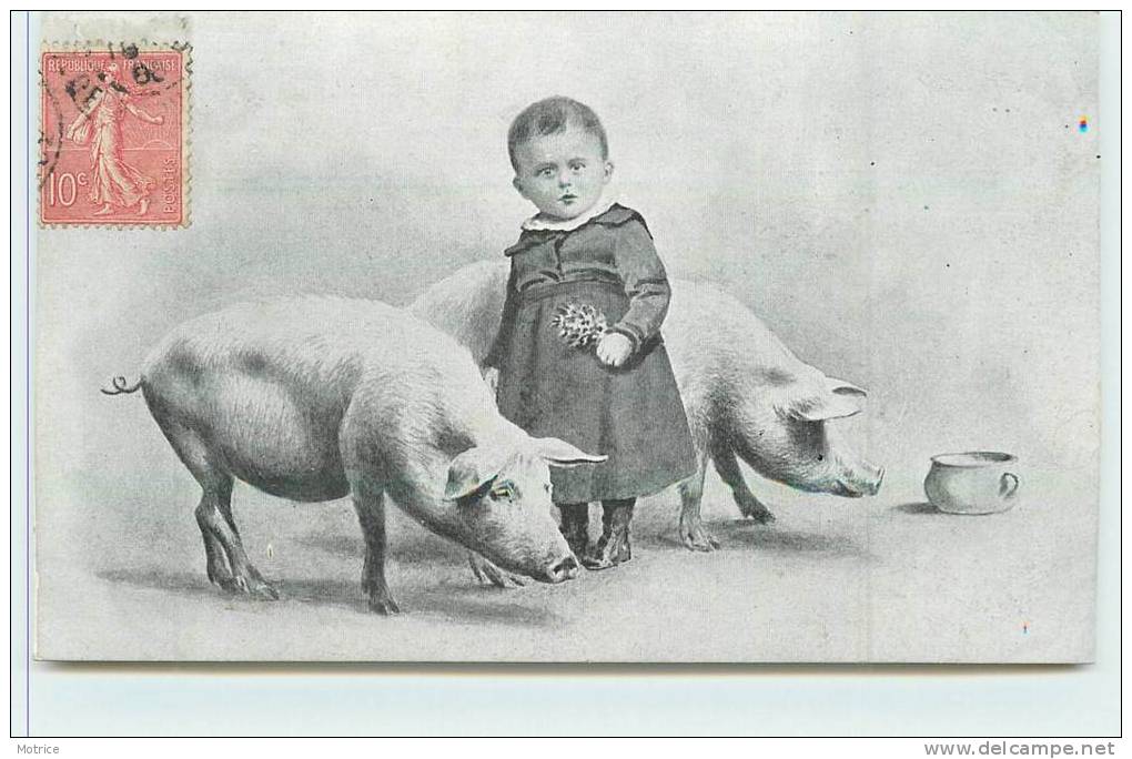 ENFANT ET COCHONS (pot De Chambre) - Pigs