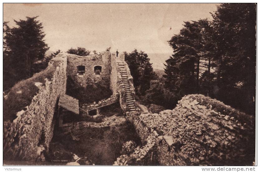 BADENWEILER, Ruine Neuenfels - Badenweiler