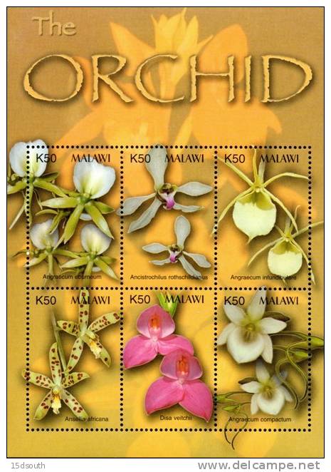 Malawi - 2003 Orchids Of Africa MS (**) # SG 1021 - Malawi (1964-...)