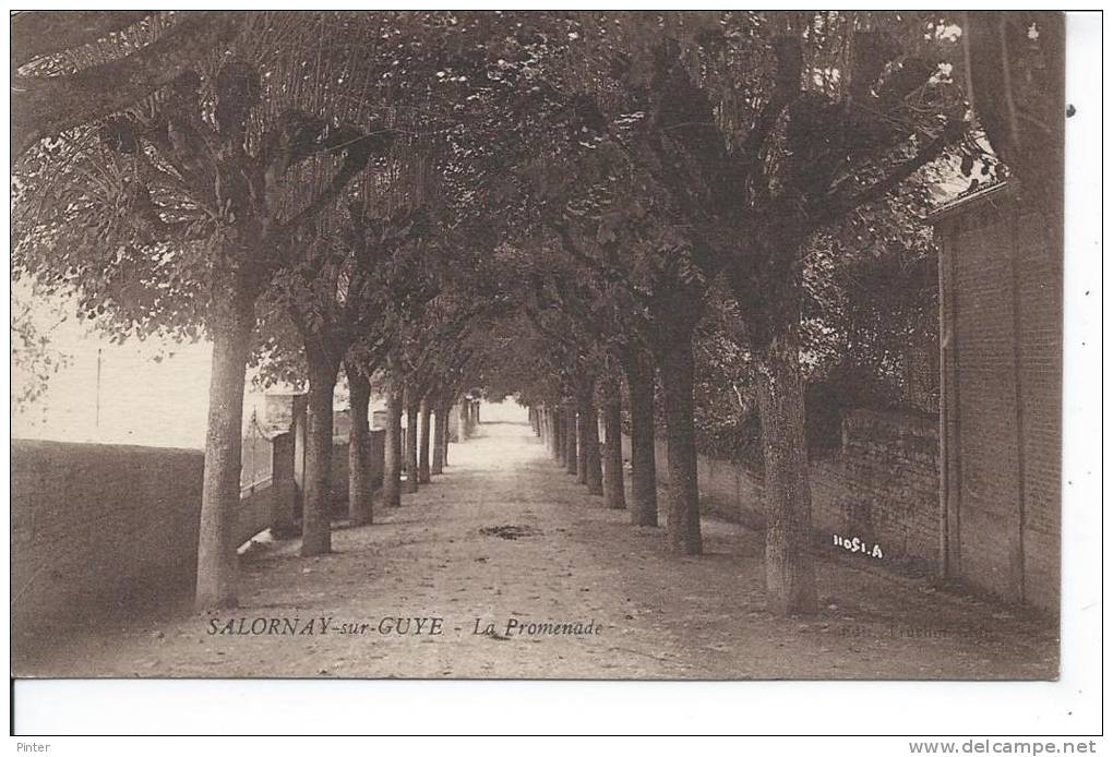 SALORNAY SUR GUYE - La Promenade - Andere & Zonder Classificatie