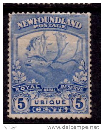 Newfoundland 1919 5 Cent Trail Of The Caribou Issue #119  Creased - 1908-1947
