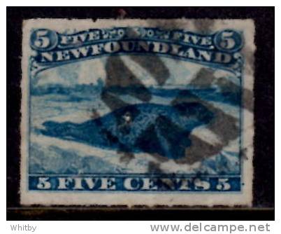 Newfoundland 1876 5 Cent Harp Seal Rouletted Issue #40  Pin Hole - 1865-1902