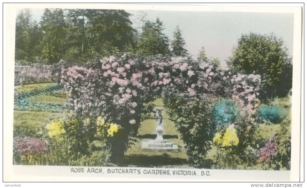 Canada, Rose Arch, Butchart's Gardens, Victoria, BC, Unused Real Photo Postcard [13017] - Victoria