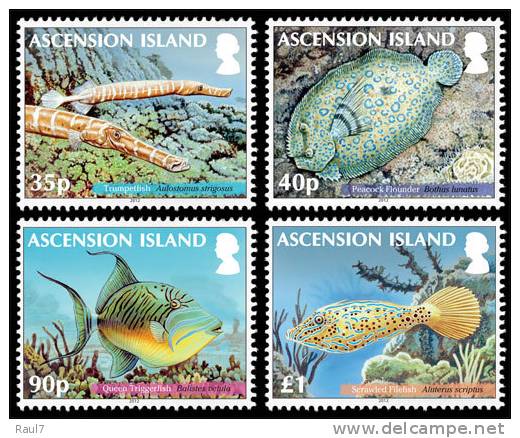 ASCENSION 2012 // Faune Marine, Poissons (Reef Fish II)  // 4v NEUFS - MNH - Ascensione