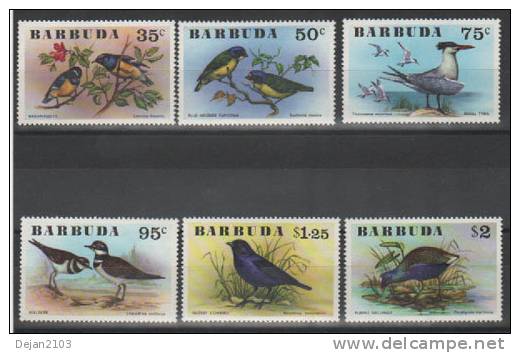 Great Britain Colony Barbuda Fauna-birds 1976 MNH ** - Sonstige & Ohne Zuordnung