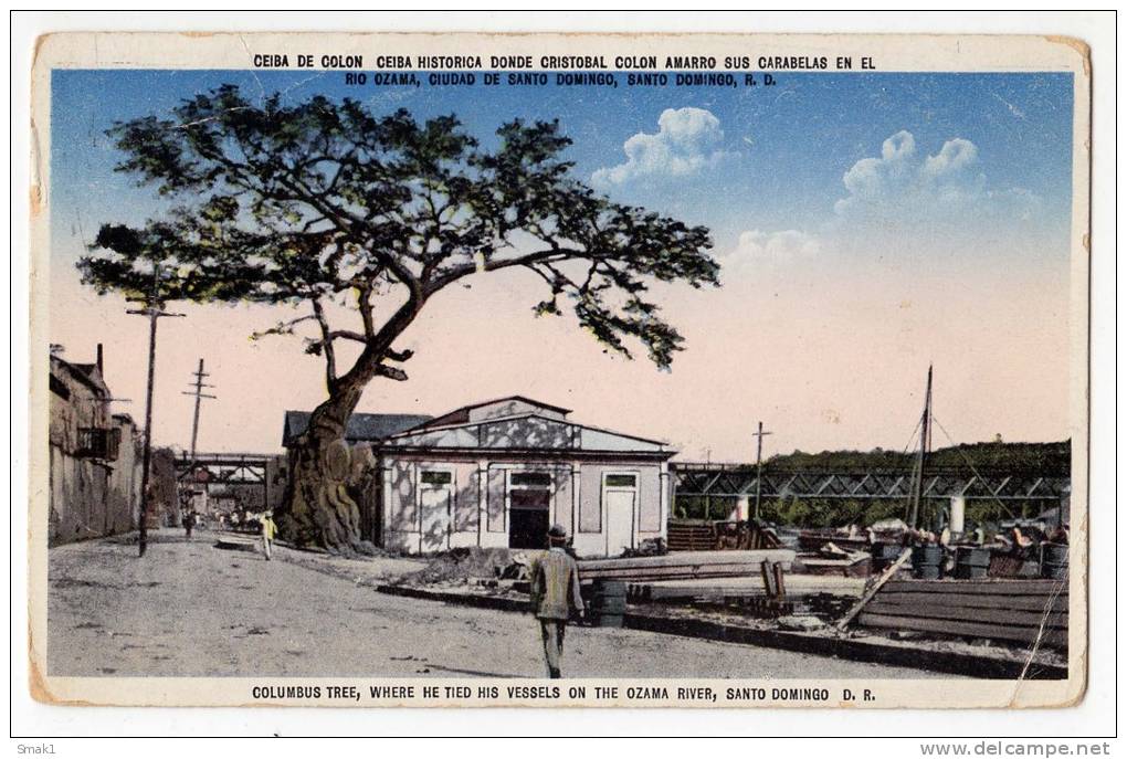 AMERICA DOMINICAN REPUBLIC COLUMBUS TREE, WHERE HE TIED HIS VESSELS ON THE OZAMA RIVER, SANTO DOMINGO OLD POSTCARD 1931. - Dominican Republic