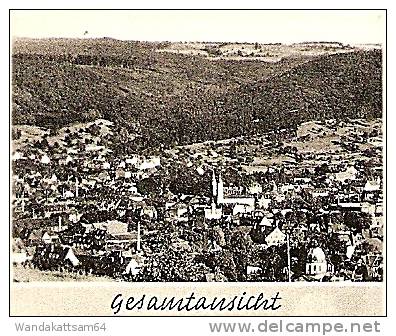 AK 75 Gruß Aus LAHR Im Schwarzwald Mehrbild 5 Bilder Gesamtansicht Storchenturm Ruine Hohen-Gerolseck Partie Am Rathaus - Lahr