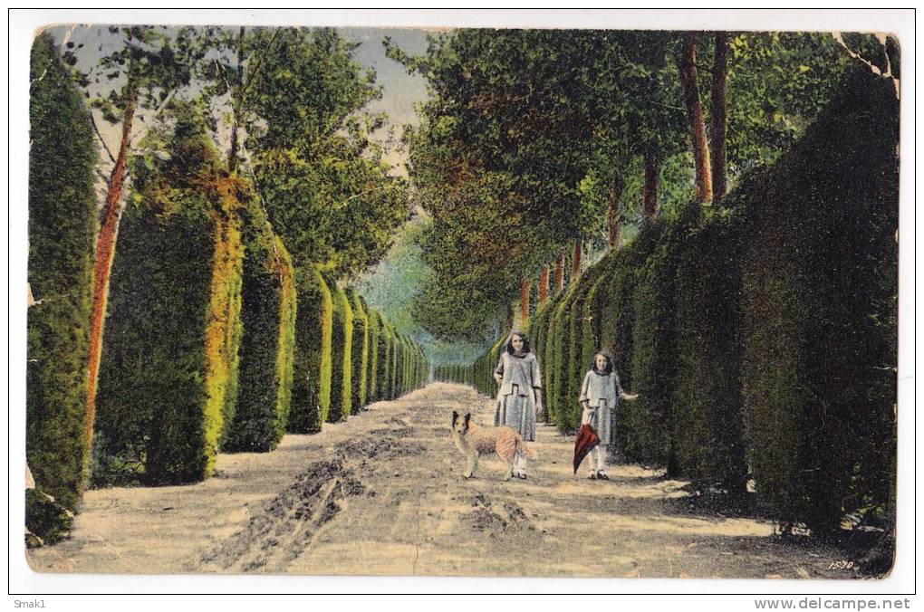 AMERICA MEXICO COYOACAN THE NURSERIES FOLDED OLD POSTCARD 1926. - Mexico