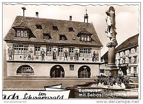 AK 6 Gruß Aus HASLACH Im Schwarzwald Mehrbild 4 Bilder Blick Auf Die Stadt Rathaus Mit Sebastianbrunnen Evangelische Kir - Haslach