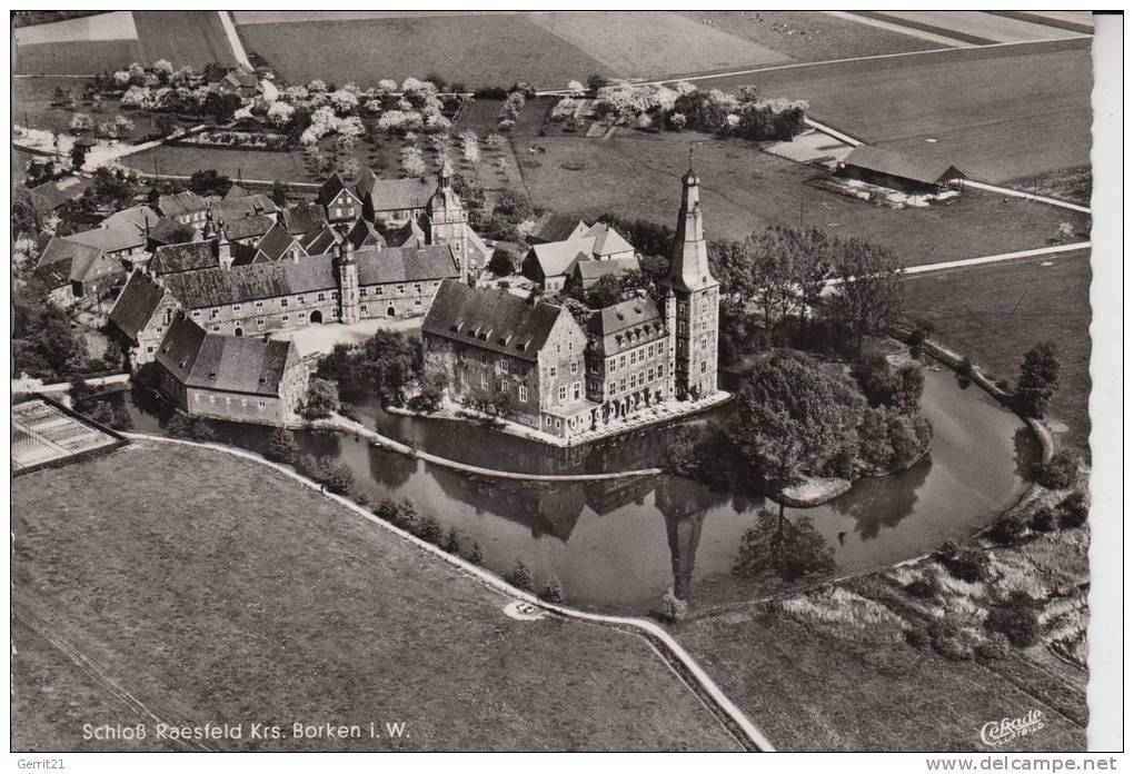 4285 RAESFELD,  Schloß Raesfeld, Luftaufnahme 1957 - Borken