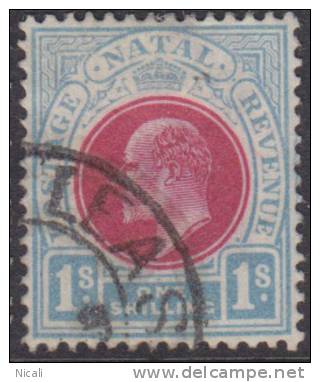 NATAL 1902 1/- KEVII SG 136 U XS234 - Natal (1857-1909)