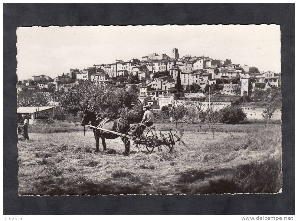 CPSM - BIOT - Vue Générale - Attelage Agricole - Les Foins - Andere & Zonder Classificatie