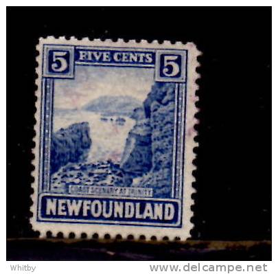 Newfoundland 1923 5 Cent Trinity Coast Issue #135 - 1908-1947