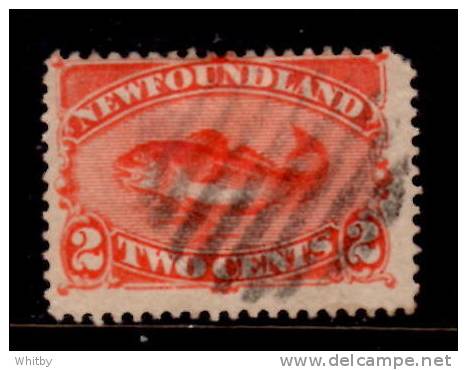 Newfoundland 1880 2 Cent Codfish Issue #48 - 1865-1902