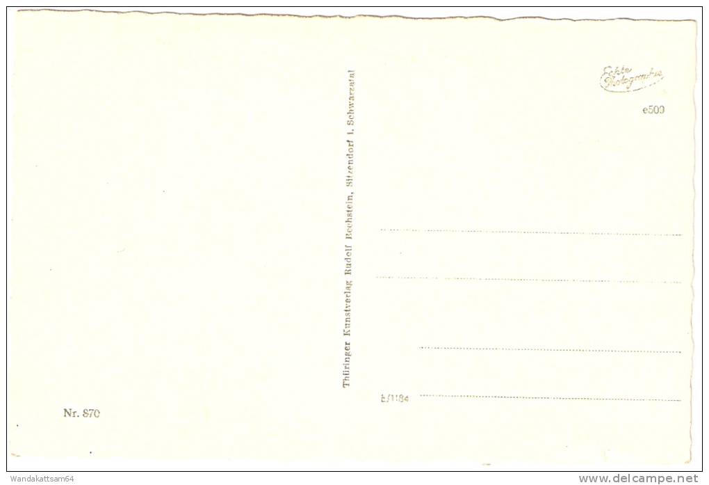 AK 509 Schwimmbad Sitzendorf i. Schwarzeatal Th. W. Thüringer Kunstverlag Rudolf Bechstein, Sitzendorf i. Schwarzatal Ec