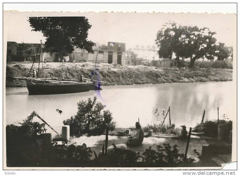 Alexandrie  Real Photo Arabes En Priere Sur Le Bord Du Canal De Ptolémée Praying - Alexandrie