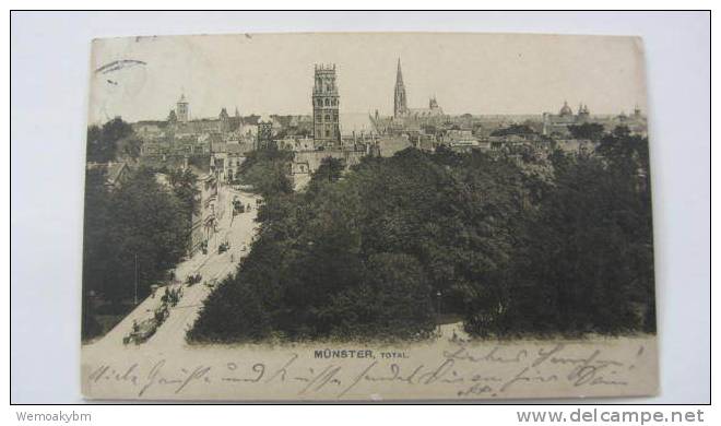 AK Münster Westfalen Total Vom 11.5.1905 - Münster