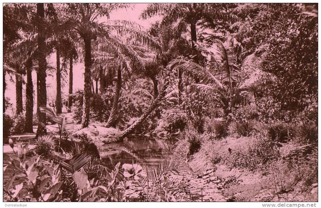 Cameroun :Paysage Africain - Timbres Cameroun - Cameroun