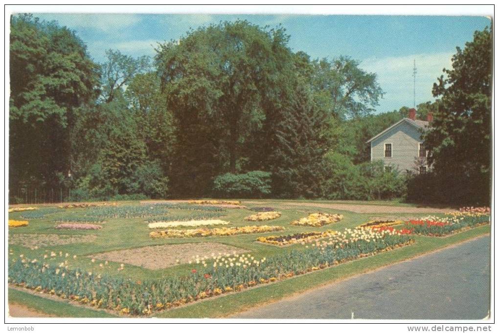 USA, Flower Beds, Forest Park, Springfield, Massachusetts, 1961 Used Postcard [13086] - Springfield