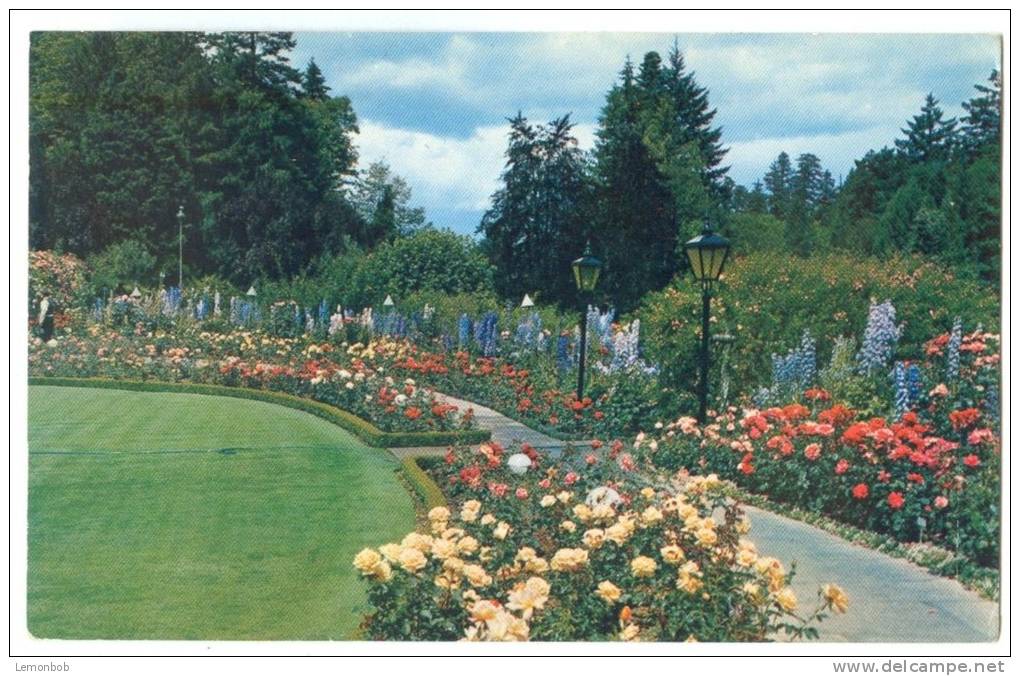 Canada, The Rose Garden, The Butchart Gardens, Victoria, BC, Unused Postcard [13094] - Victoria