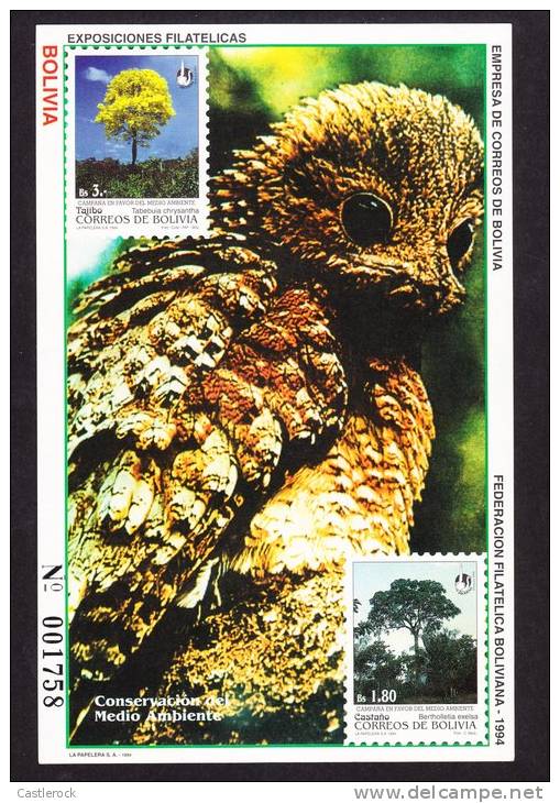 O) 1994 BOLIVIA,OWL,TAJIBO,CASTAÑO,ENVIRONMENTAL CONSERVATION,MNH. - Bolivia