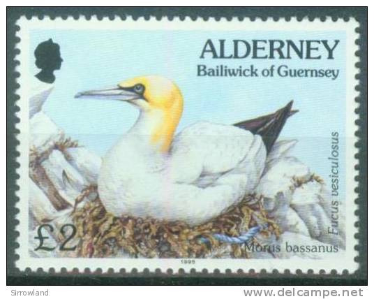 Alderney  1995  Freimarke - Fauna Und Flora - Baßtölpel 2&pound;  (1 ** (MNH) Kpl. )  Mi: 82 (6,50 EUR) - Alderney