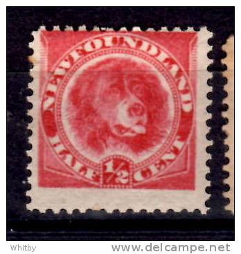 Newfoundland 1888 1/2 Cent Newfoundland Dog Issue #56 - 1865-1902