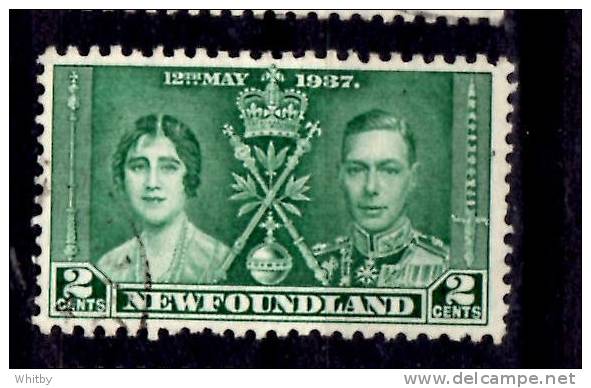 Newfoundland 1937 2 Cent Coronation Issue #230 - 1908-1947