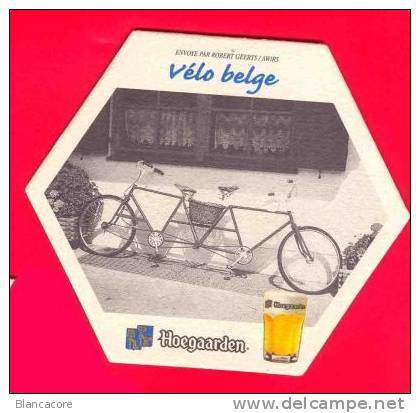 Bierviltje Sous Bock Hoegaarden Lot De 12 Pièces  Différentes Vélo Belge ... Etc Etc - Beer Mats