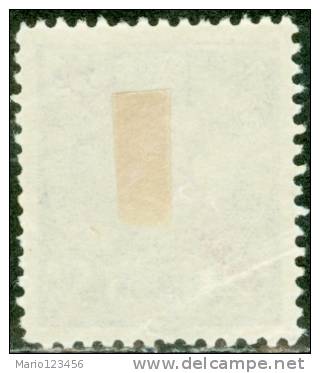 TIMOR, PORTUGUESE COLONY, RE CARLOS I, 1911, FRANCOBOLLO NUOVO (MLH*), Mi 113, YT 115, Afi 113, Scott 106 - Timor