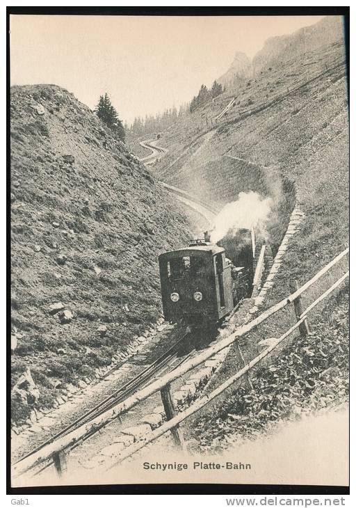 Train  ---  Train Descendant Pres De Breitlauenen --- Vers 1900 - Trains