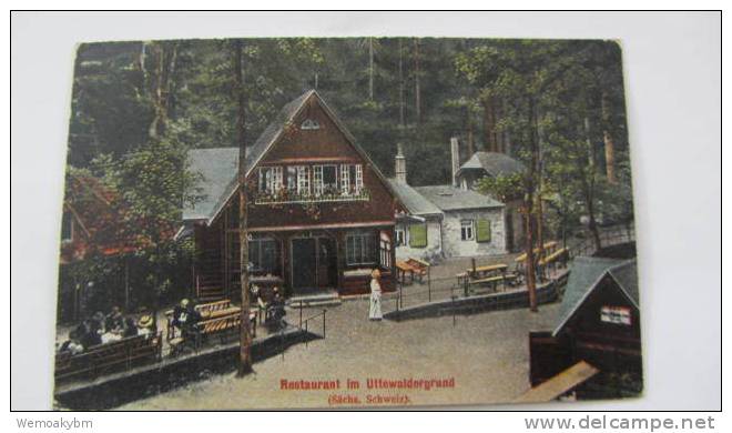 AK Restaurant Im Uttewalder Grund Sächsische Schweiz Vom  20.8.1919 - Wehlen