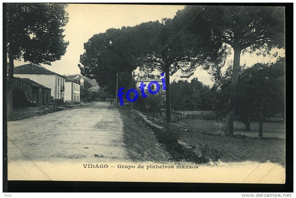 OLD POSTCARD PEDRAS SALGADAS VIDAGO PORTUGAL TARJETA POSTAL - Bragança