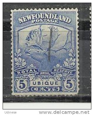 NEWFOUNDLAND 1919 - CARIBOU 5 - MH MINT HIGED - 1908-1947