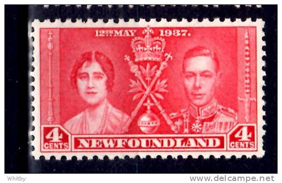 Newfoundland 1937 4 Cent Coronation Issue #231 - 1908-1947