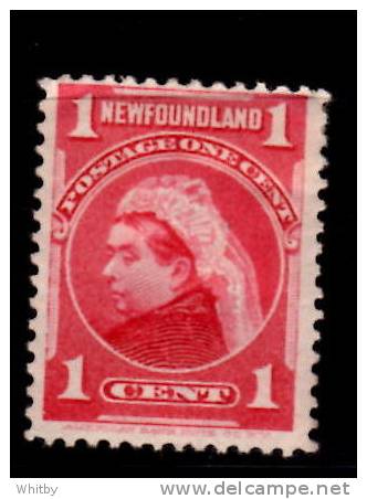 Newfoundland 1897 1 Cent Queen Victoria Issue #79 - 1865-1902