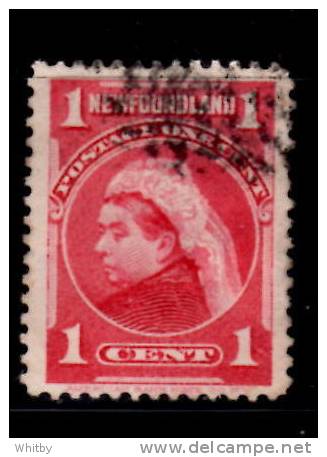 Newfoundland 1897 1 Cent Queen Victoria Issue #79 - 1865-1902