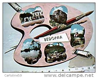 BEDONIA PARMA  VEDUTE E TAVOLOZZA COLORI  V1956  EB9825 - Parma