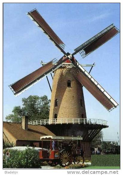 ESSEN ~ Wildert (Antw.) - Molen/moulin - De Bakkersmolen In Werking Met Volle Zeilen. Vooraan: Een Stoomtractor ! - Essen