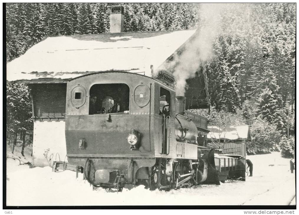 Train  --- G 4/4 4, "Alienor ", Et Chasse - Neige A Six - Fontaines --- Vers 1930 - Trains