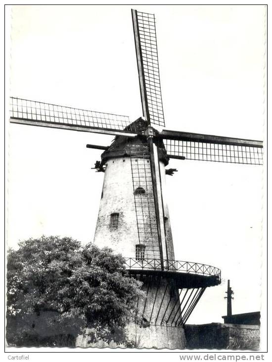 DEERLIJK-DE MOLEN-WINDMOLEN-NIET VERZONDEN-UITG.DONCKELS-LECOT-DEERLIJK - Deerlijk