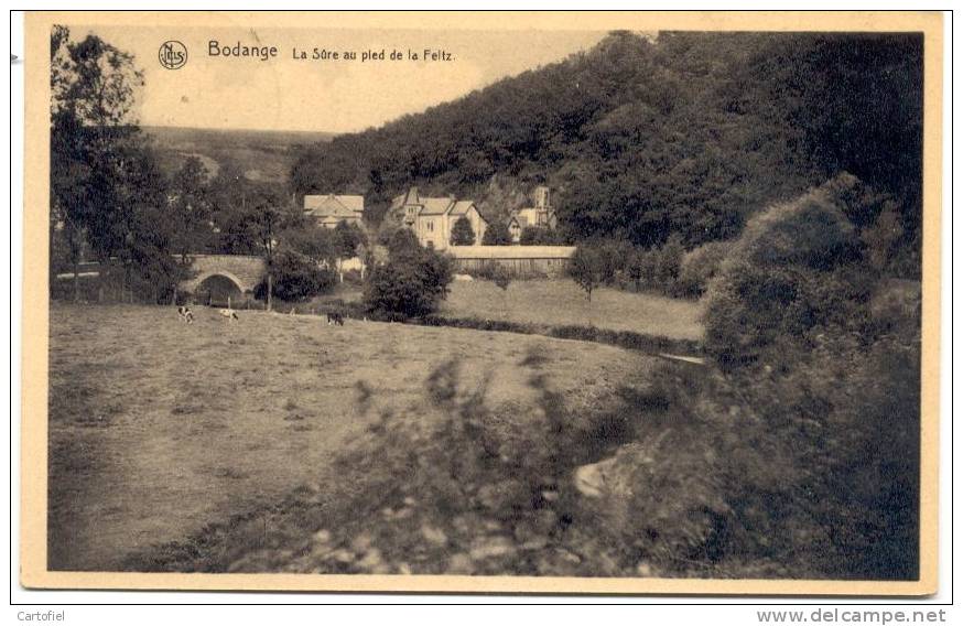 BODANGE-LA SURE AU PIED DE LA FELTZ-CARTE ENVOYEE-EDIT.GOLLIERE-MEL MER-BODANGE - Fauvillers