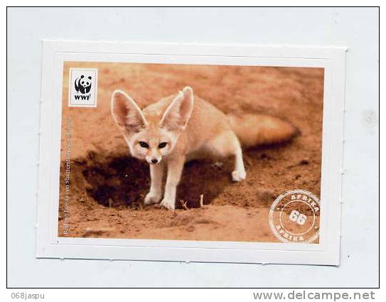 Image à Coller Wwf Edeka Animaux N° 66 Renard Desert - Autres & Non Classés