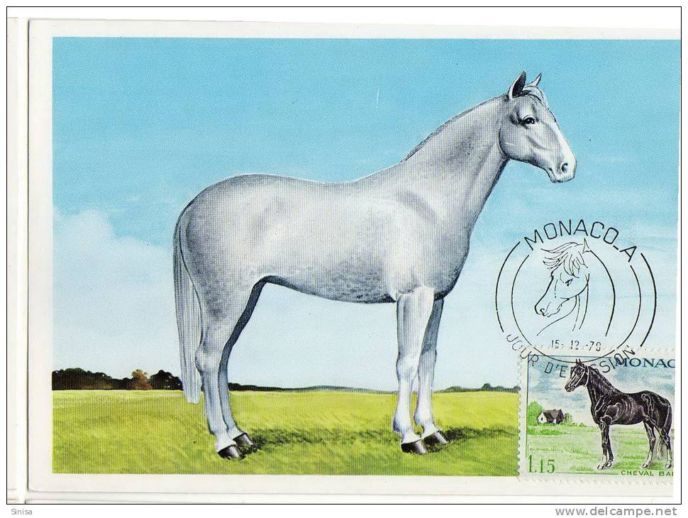 Monaco / Maximum Cards / Animals / Horses - Cartes-Maximum (CM)