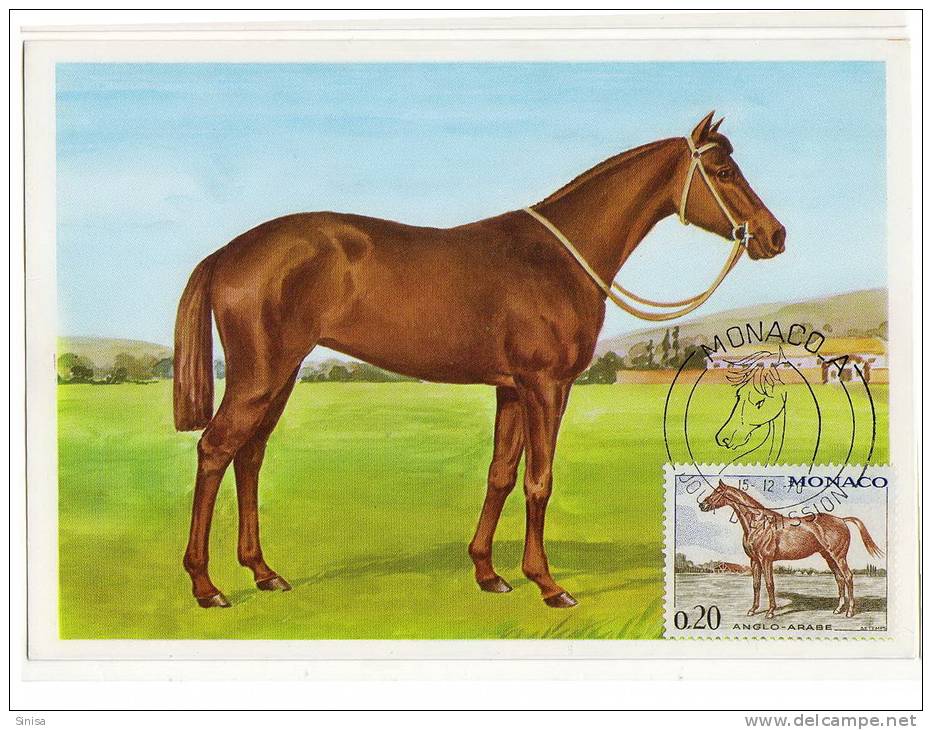 Monaco / Maximum Cards / Animals / Horses - Maximum Cards