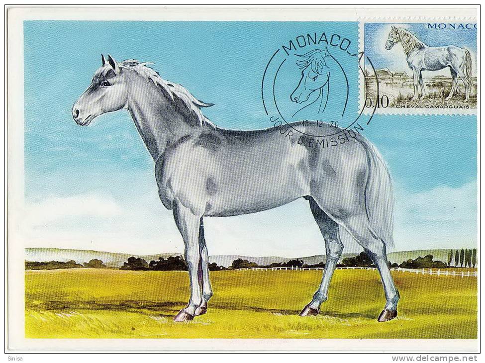 Monaco / Maximum Cards / Animals / Horses - Cartoline Maximum
