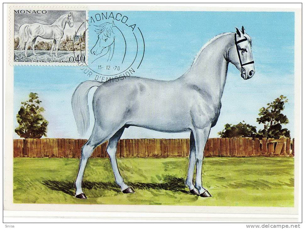 Monaco / Maximum Cards / Animals / Horses - Cartoline Maximum