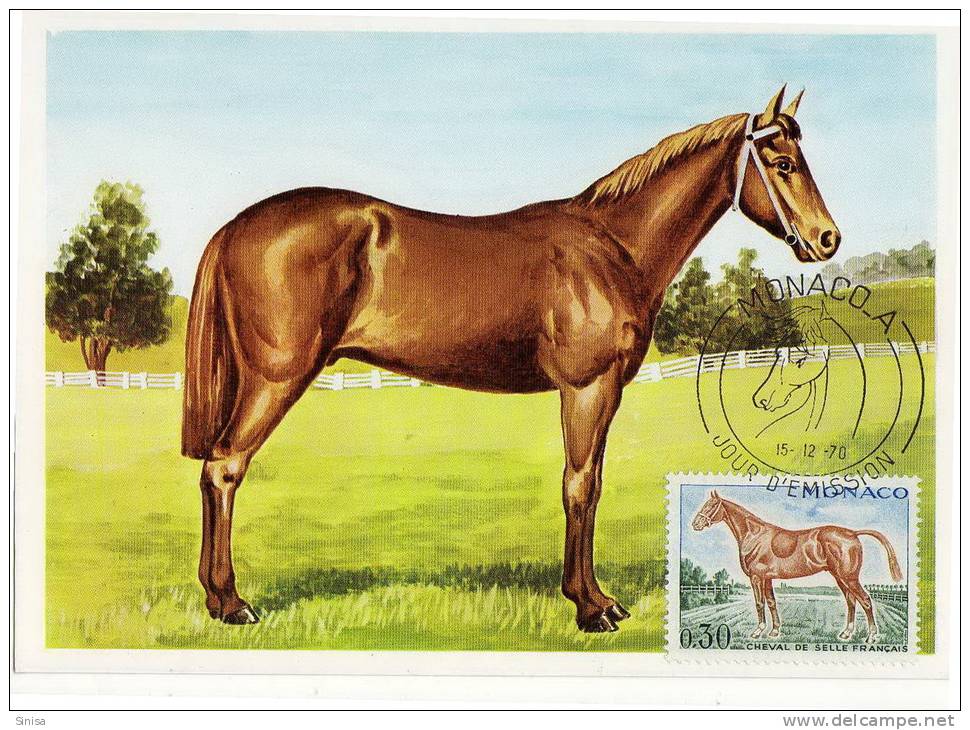 Monaco / Maximum Cards / Animals / Horses - Cartas Máxima